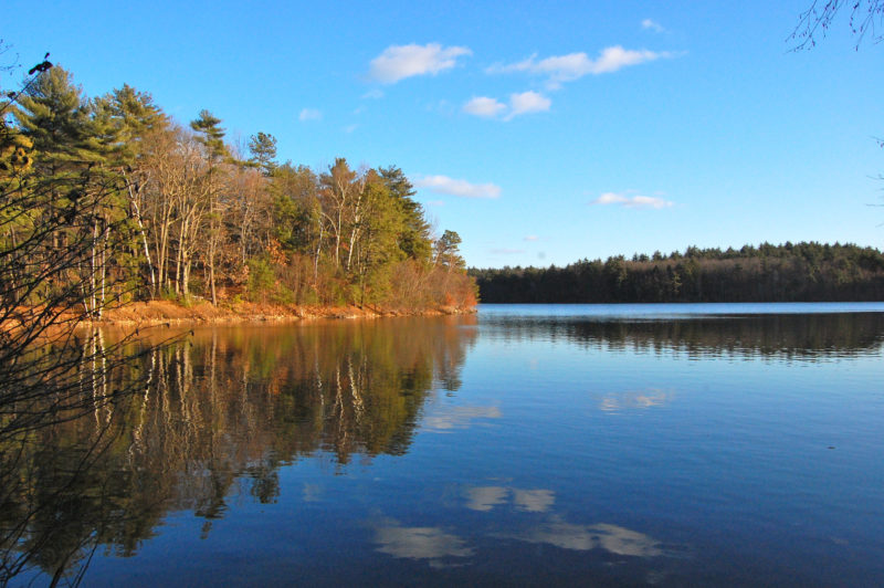 Photo from the essay Henry David Thoreau’s Walden in Review