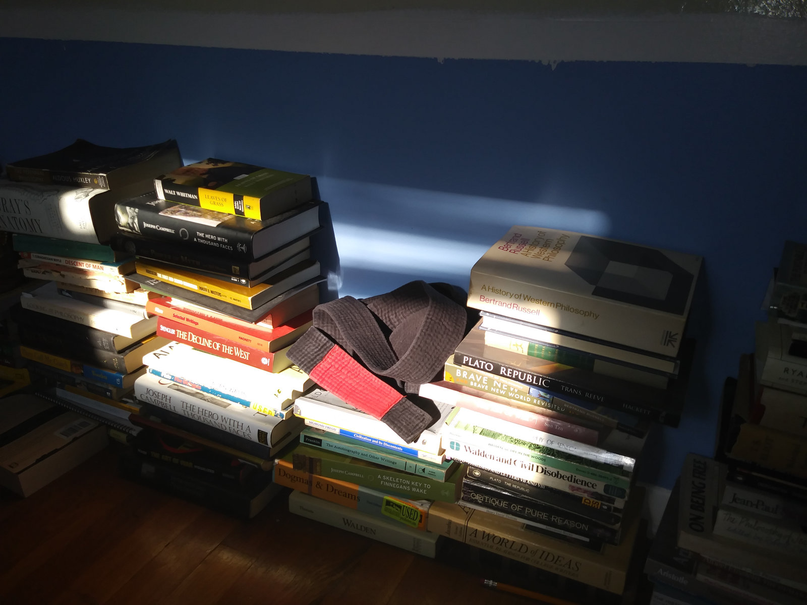 Photo for the essay How Jiu Jitsu Taught Me To Read