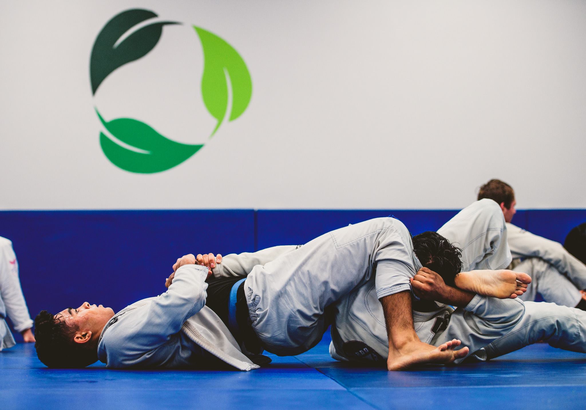 Photo for the essay Jiu Jitsu: Batching Personal Development