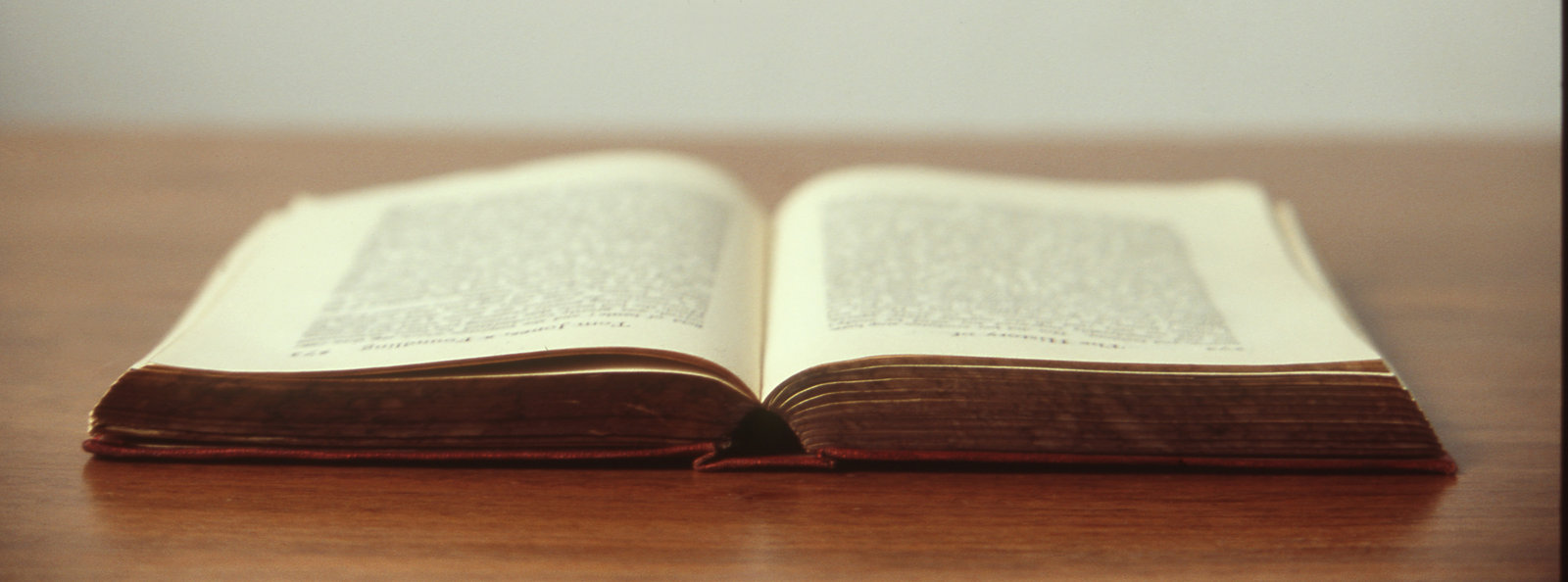 Photo for the essay On The Importance of Reading