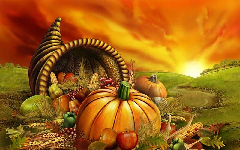 Photo from the essay Thanksgiving and the Power of Gratitude