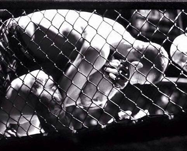 Photo for the essay The Implicit Impetus of Jiu Jitsu
