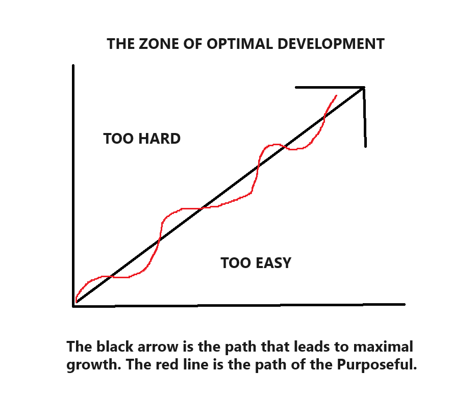 jiu jitsu, growth, progress, development