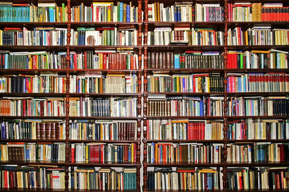Photo for the essay Top Ten Books of 2016