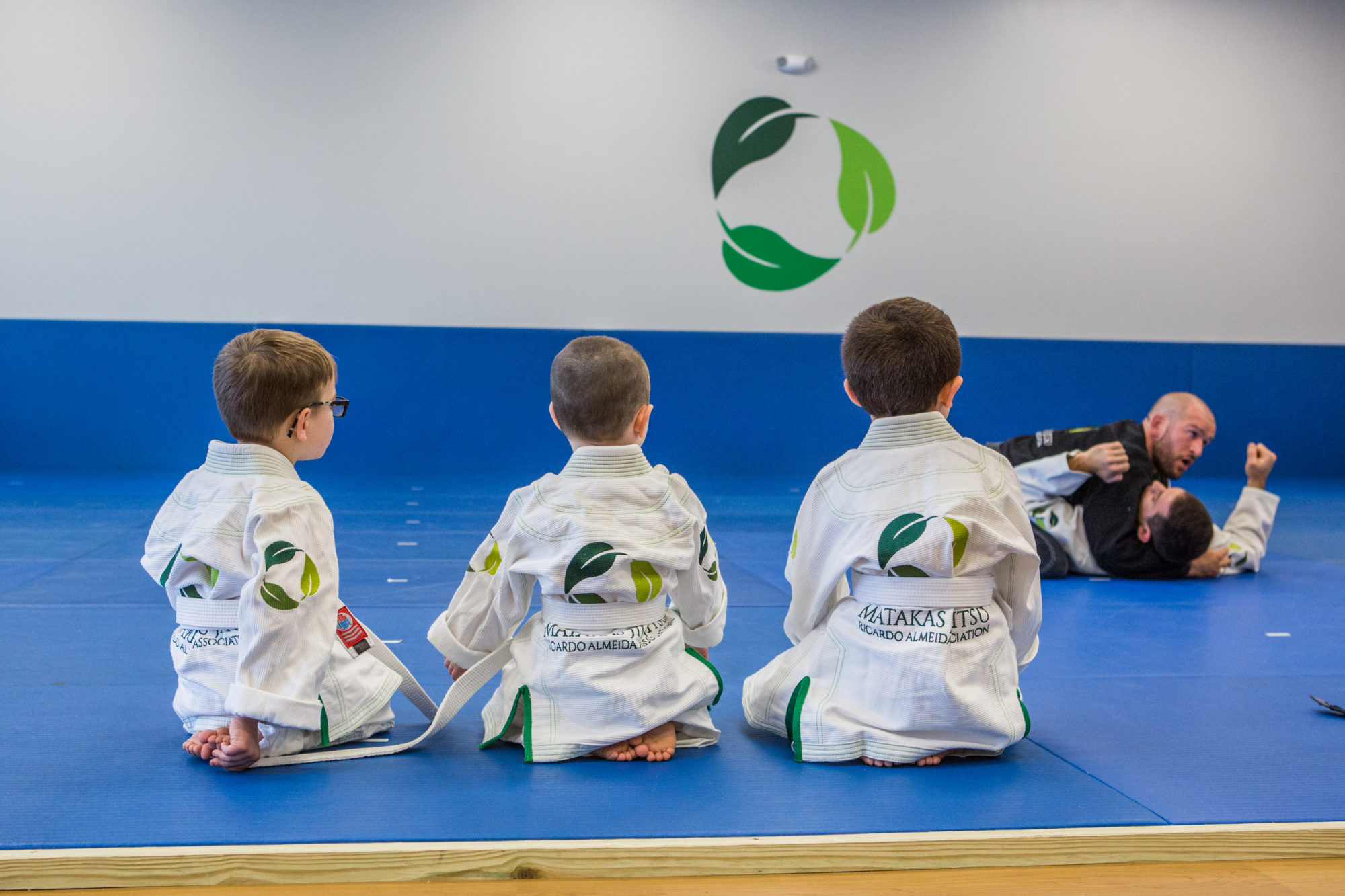 Photo for the essay Why We Need Jiu Jitsu